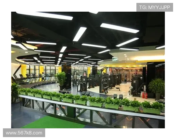 凯发体育如何实现可持续发展与社会责任